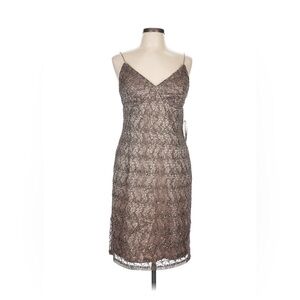 Adrianna Papell Lace & Sequins Dress